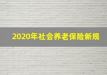 2020年社会养老保险新规