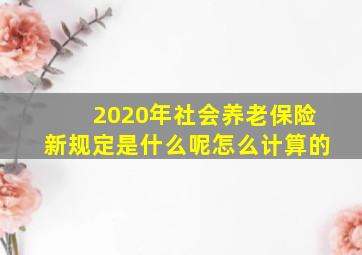 2020年社会养老保险新规定是什么呢怎么计算的