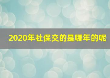 2020年社保交的是哪年的呢