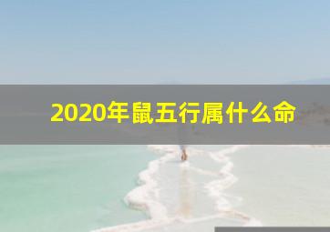 2020年鼠五行属什么命