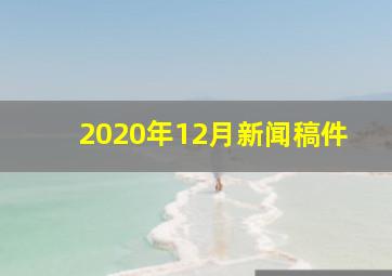 2020年12月新闻稿件