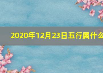 2020年12月23日五行属什么