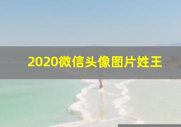 2020微信头像图片姓王