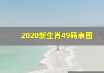 2020新生肖49码表图