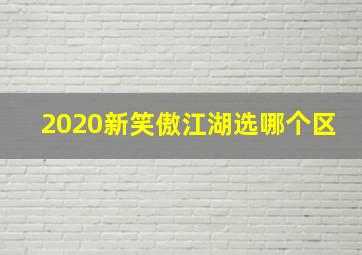 2020新笑傲江湖选哪个区