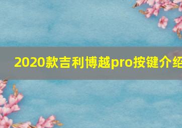 2020款吉利博越pro按键介绍