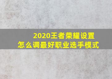 2020王者荣耀设置怎么调最好职业选手模式