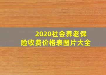 2020社会养老保险收费价格表图片大全