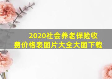 2020社会养老保险收费价格表图片大全大图下载