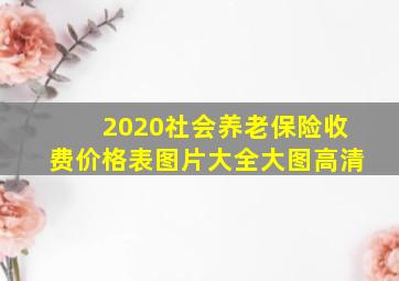 2020社会养老保险收费价格表图片大全大图高清