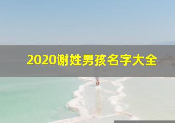 2020谢姓男孩名字大全