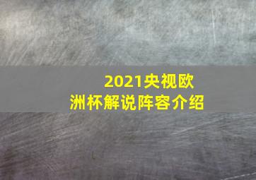 2021央视欧洲杯解说阵容介绍