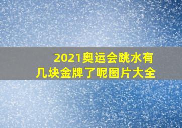 2021奥运会跳水有几块金牌了呢图片大全