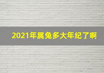 2021年属兔多大年纪了啊