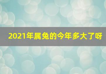 2021年属兔的今年多大了呀