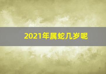 2021年属蛇几岁呢