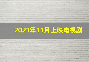 2021年11月上映电视剧