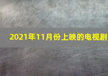 2021年11月份上映的电视剧