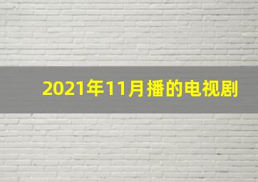 2021年11月播的电视剧