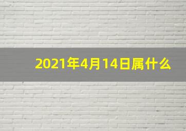 2021年4月14日属什么