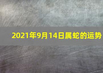 2021年9月14日属蛇的运势