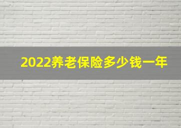 2022养老保险多少钱一年