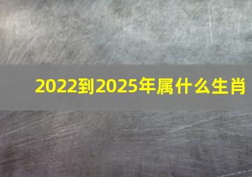 2022到2025年属什么生肖