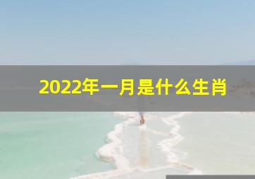 2022年一月是什么生肖