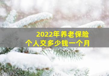 2022年养老保险个人交多少钱一个月