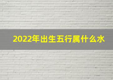 2022年出生五行属什么水