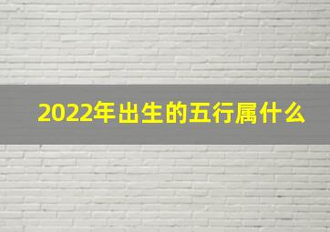 2022年出生的五行属什么