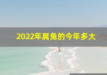 2022年属兔的今年多大