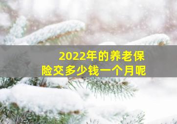 2022年的养老保险交多少钱一个月呢