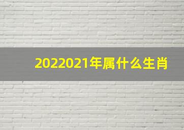 2022021年属什么生肖