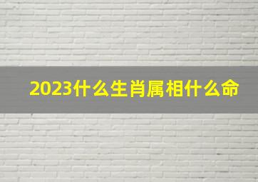 2023什么生肖属相什么命