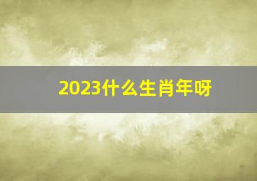 2023什么生肖年呀