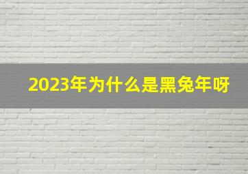 2023年为什么是黑兔年呀