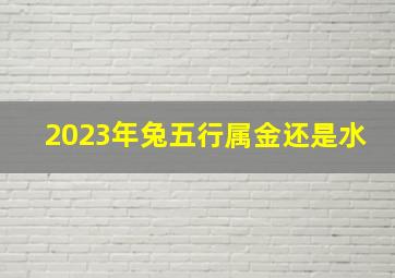 2023年兔五行属金还是水