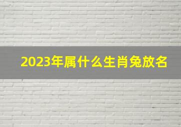 2023年属什么生肖兔放名