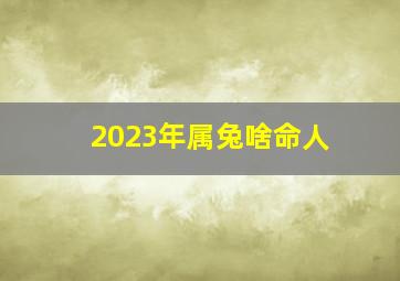 2023年属兔啥命人