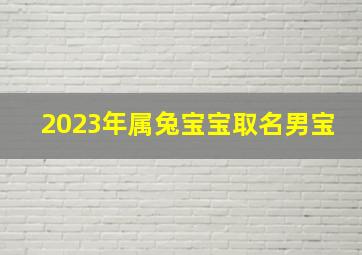 2023年属兔宝宝取名男宝