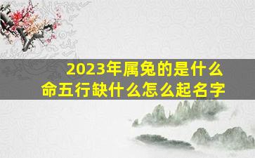 2023年属兔的是什么命五行缺什么怎么起名字