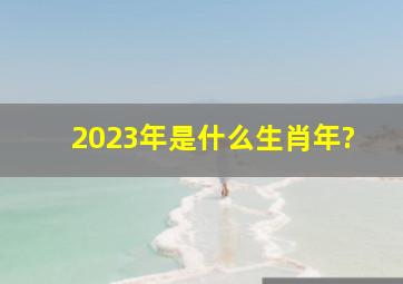 2023年是什么生肖年?