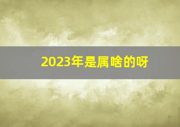 2023年是属啥的呀