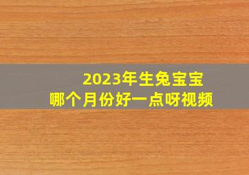 2023年生兔宝宝哪个月份好一点呀视频