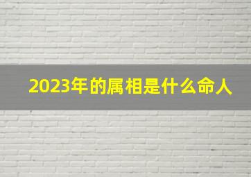 2023年的属相是什么命人