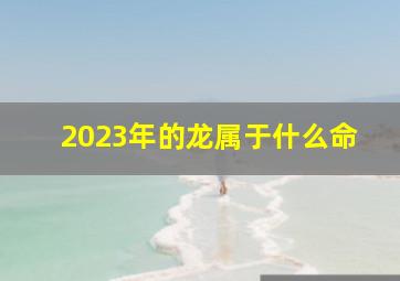 2023年的龙属于什么命