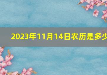 2023年11月14日农历是多少