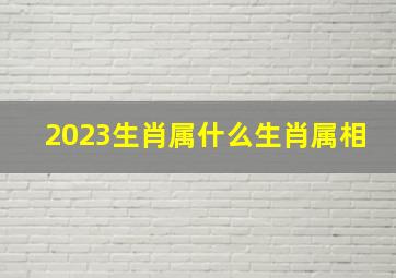 2023生肖属什么生肖属相