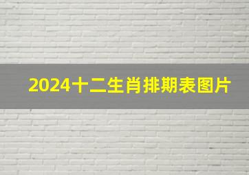 2024十二生肖排期表图片